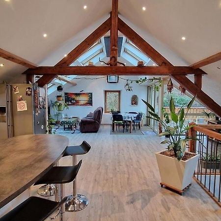 Bel appartement 120 m² très lumineux avec terrasse Morvillars Extérieur photo