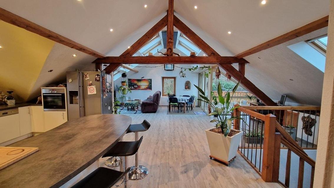Bel appartement 120 m² très lumineux avec terrasse Morvillars Extérieur photo